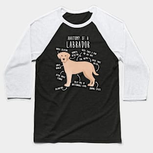 Yellow Labrador Retriever Dog Anatomy Baseball T-Shirt